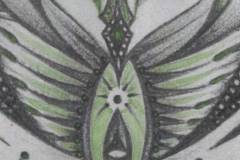 10.Fertilization.Scan_