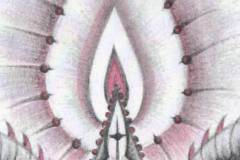 31.SacredFlame.Scan_