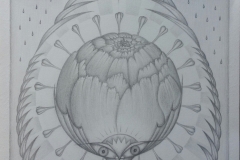 GadzukWendy.Coronaflower